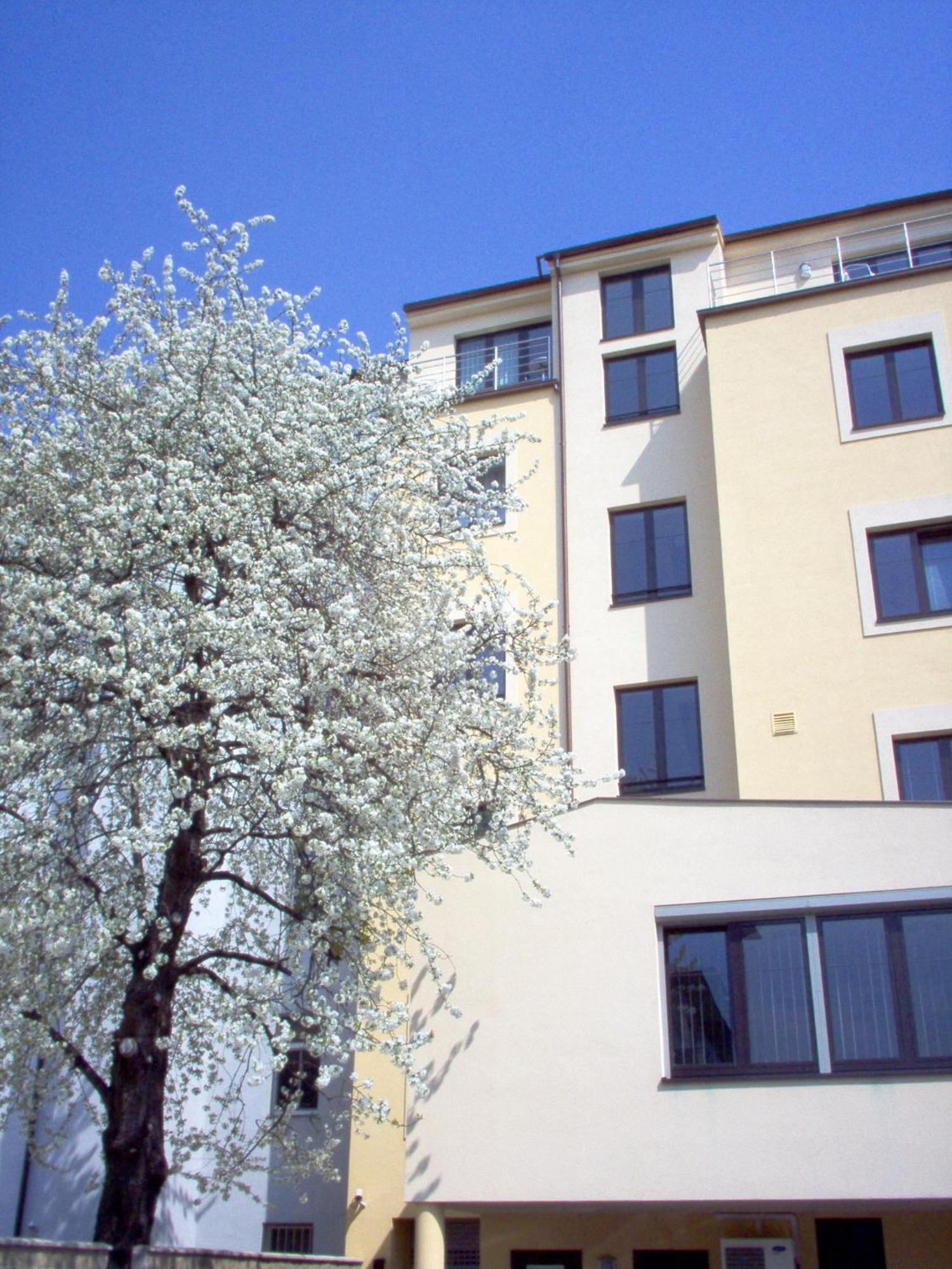 Hotell Coronet